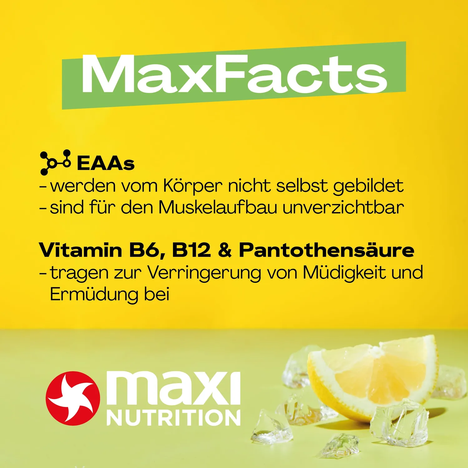 MaxiNutrition MaxFive Bitter Lemon BCAA Drink 12x330ml vegan