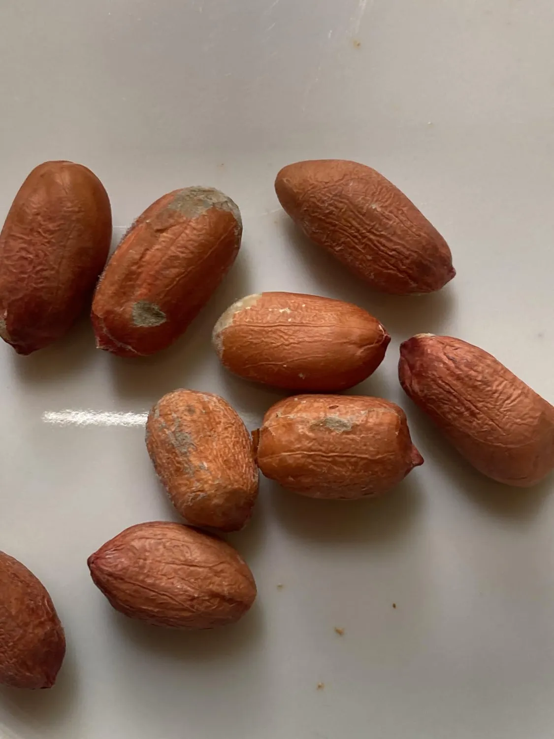GymBeam Ungesalzene Erdnüsse Snack 1000g naturbelassen