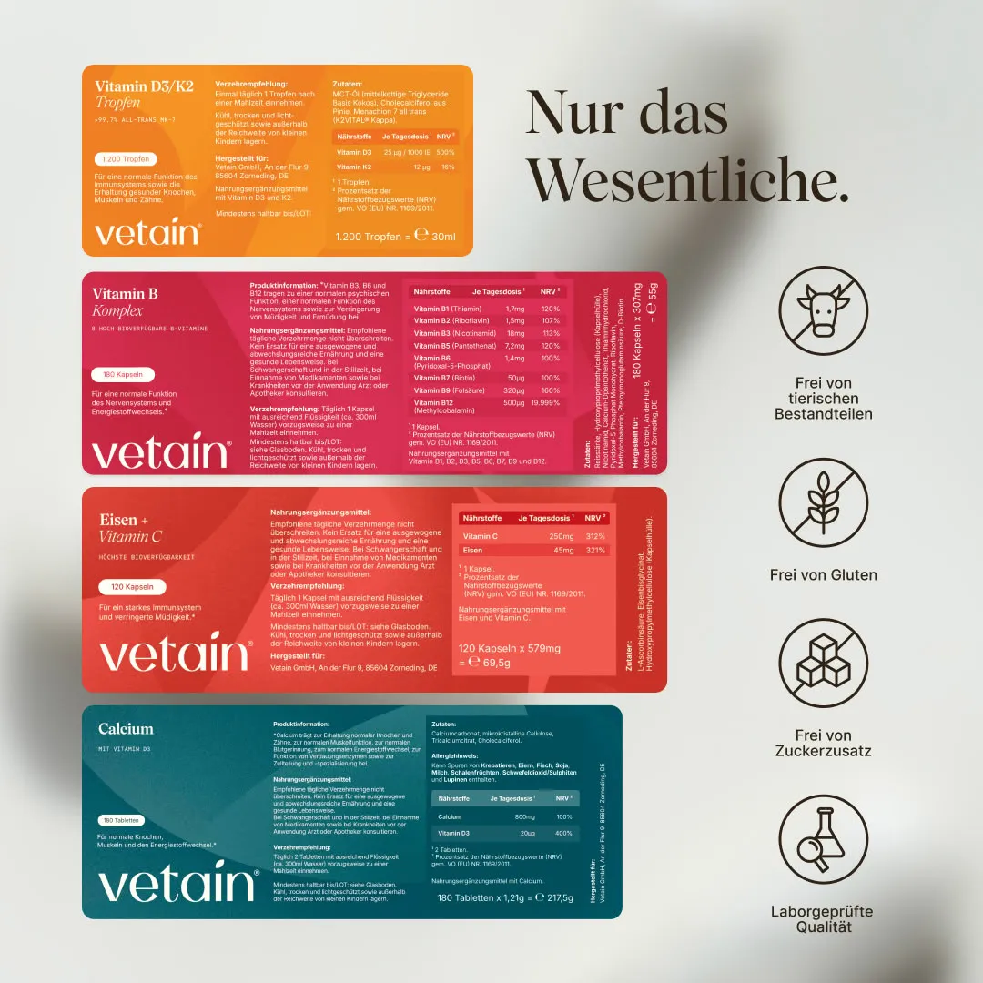 VETAIN Women's Essential Bundle Set 4-teilig