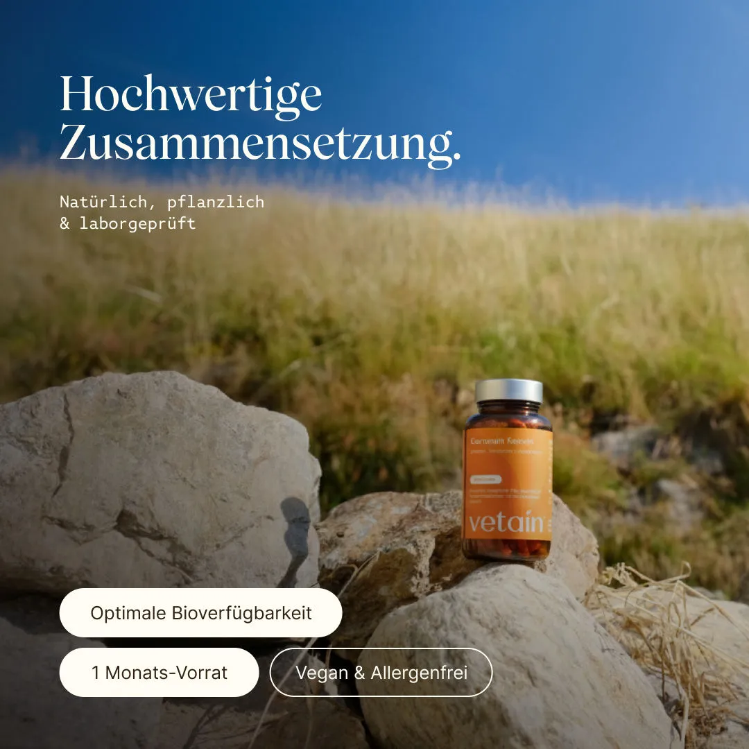Vetain Curcuma Curcumin Kapseln 60 Stück hochdosiert