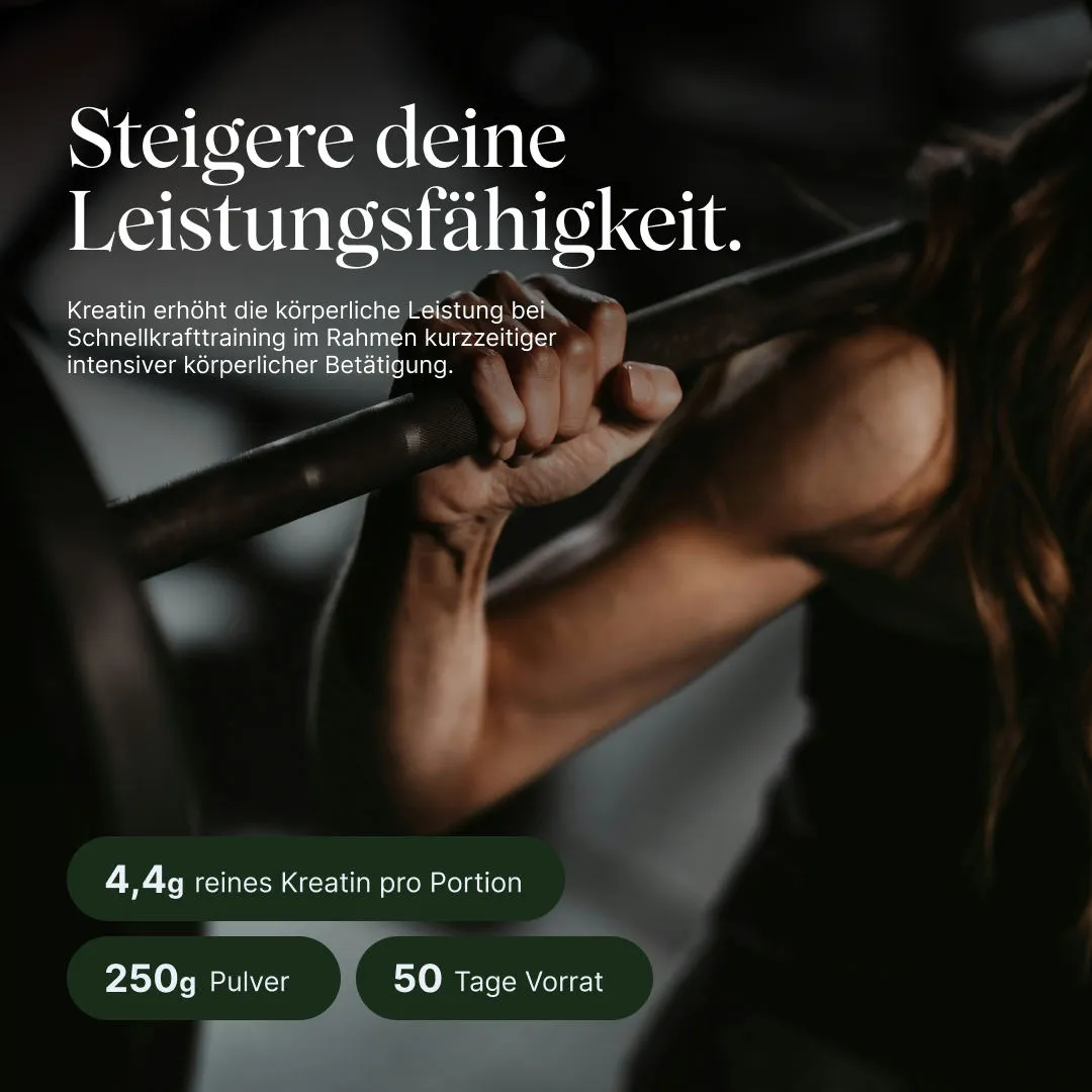 VETAIN Performance Vegan Muscle Bundle Spar-Bundle mit Shaker