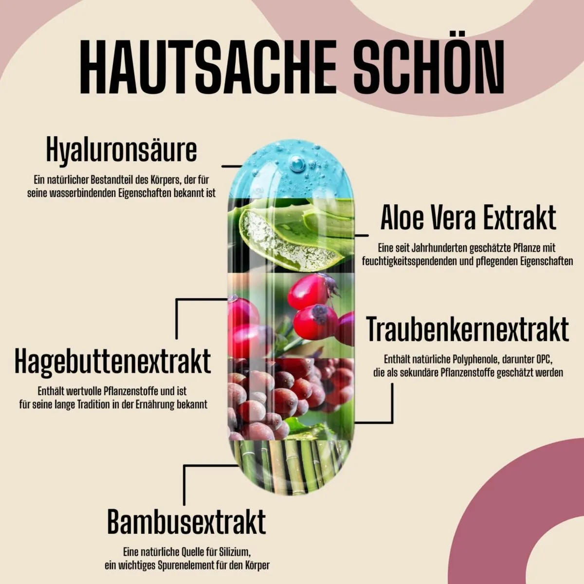 Miami Secrets Radiant Skin Kapseln 60 Kapseln mit Hyaluron