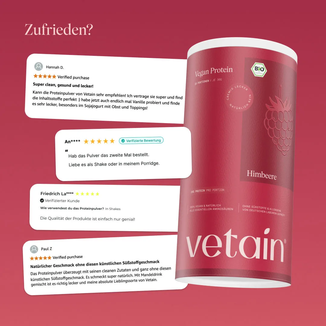 Vetain Vegan Protein Himbeere 540g Bio