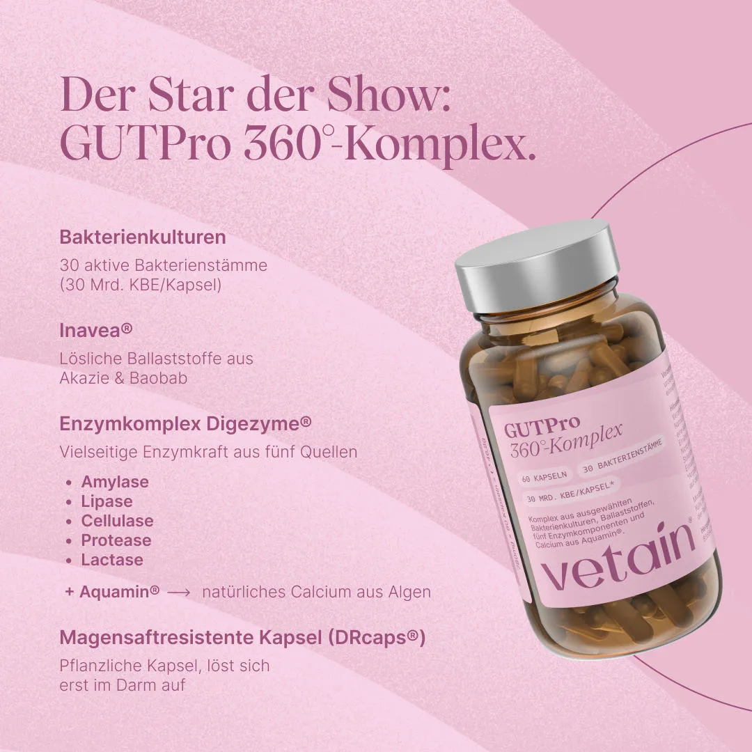 Vetain Gut Essentials Gut-Reset Bundle Darm Paket