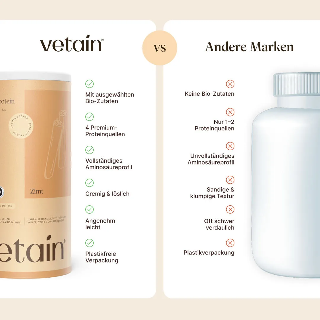 VETAIN Vegan Protein Cinnamon 540g bio