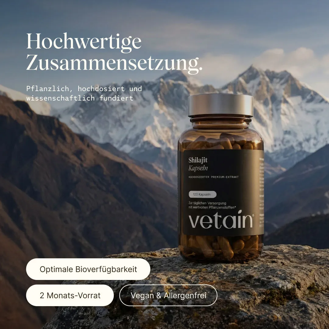 VETAIN Shilajit Kapseln 120 hochdosiert 50% Fulvinsäure