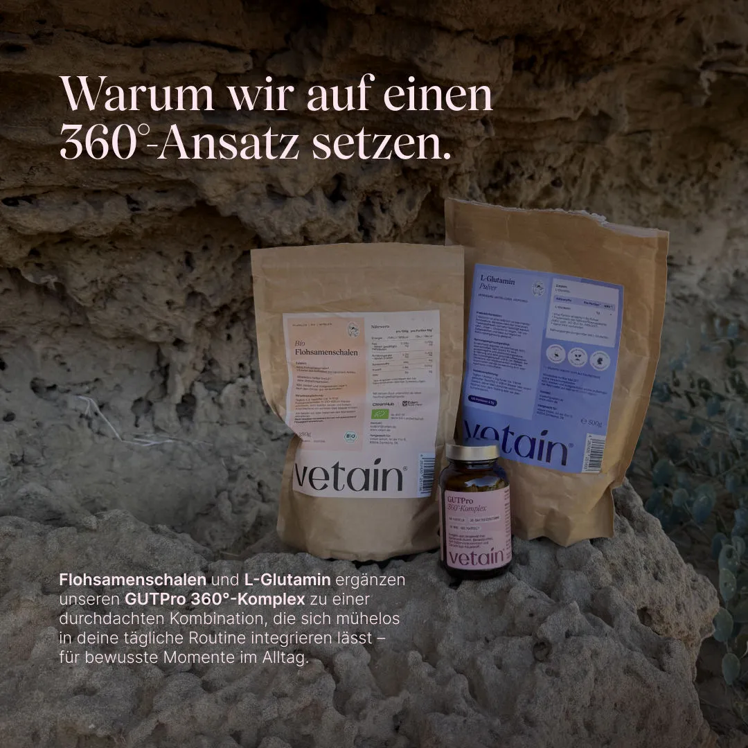 VETAIN Gut Reset Bundle Verdauung Set