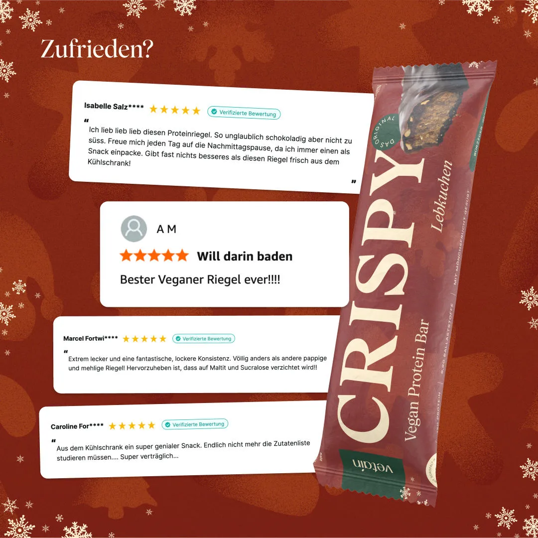 Vetain Crispy Vegan Proteinriegel Gingerbread