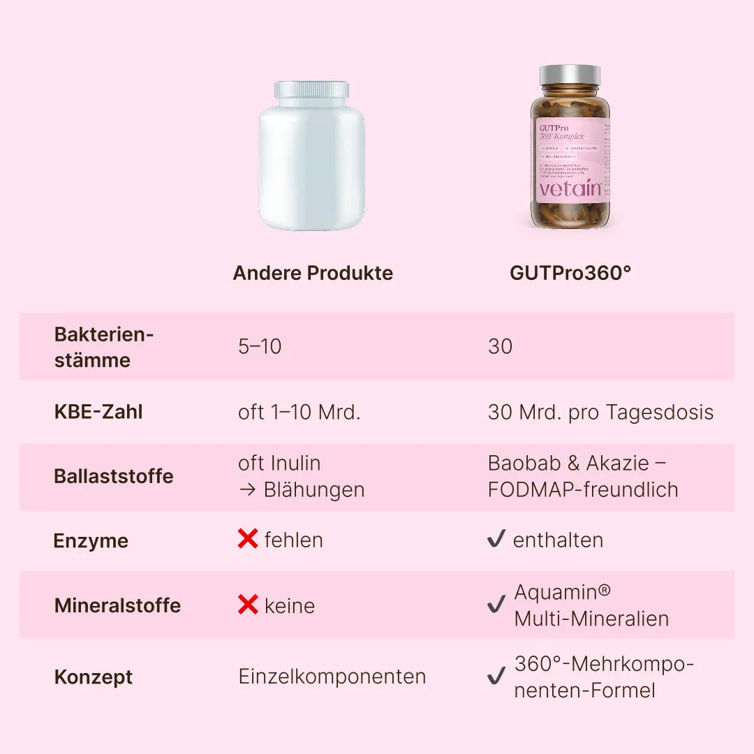VETAIN Gut Reset Bundle Verdauung Set