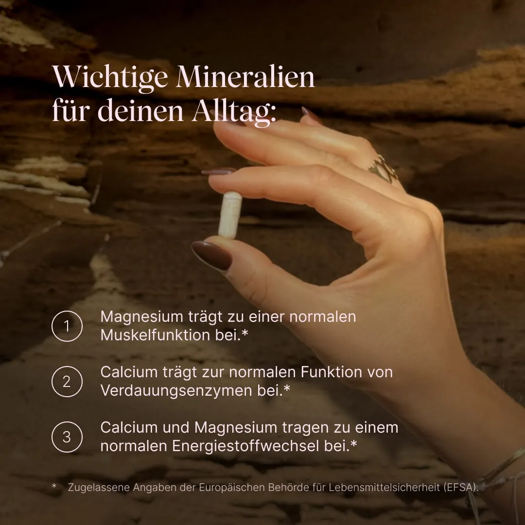 VETAIN GUTPro 360 Komplex Anti-Bloating Kapseln 60 Stück