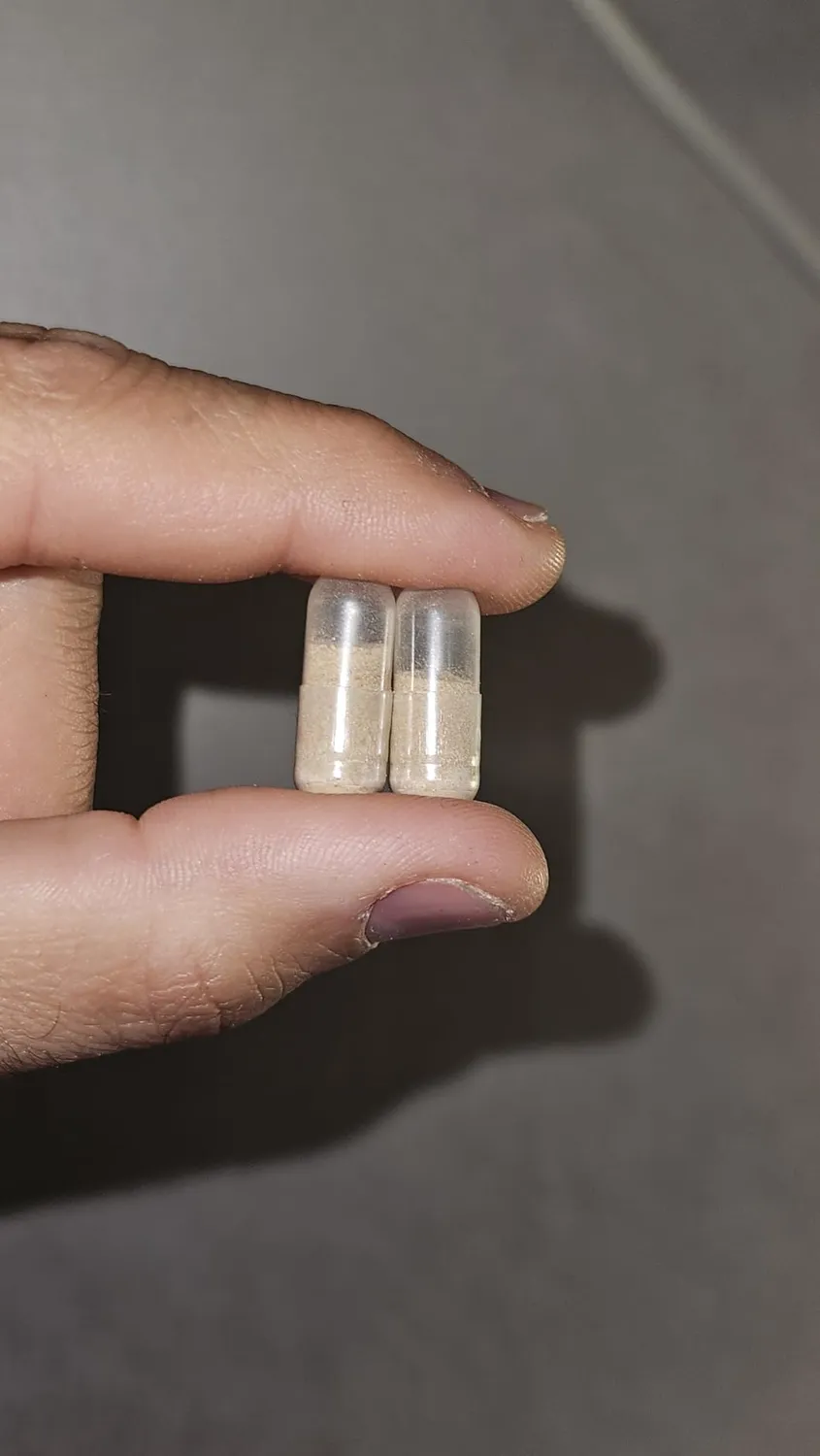GymBeam Ashwagandha KSM-66 Kapseln 500mg 90 Caps hochdosiert