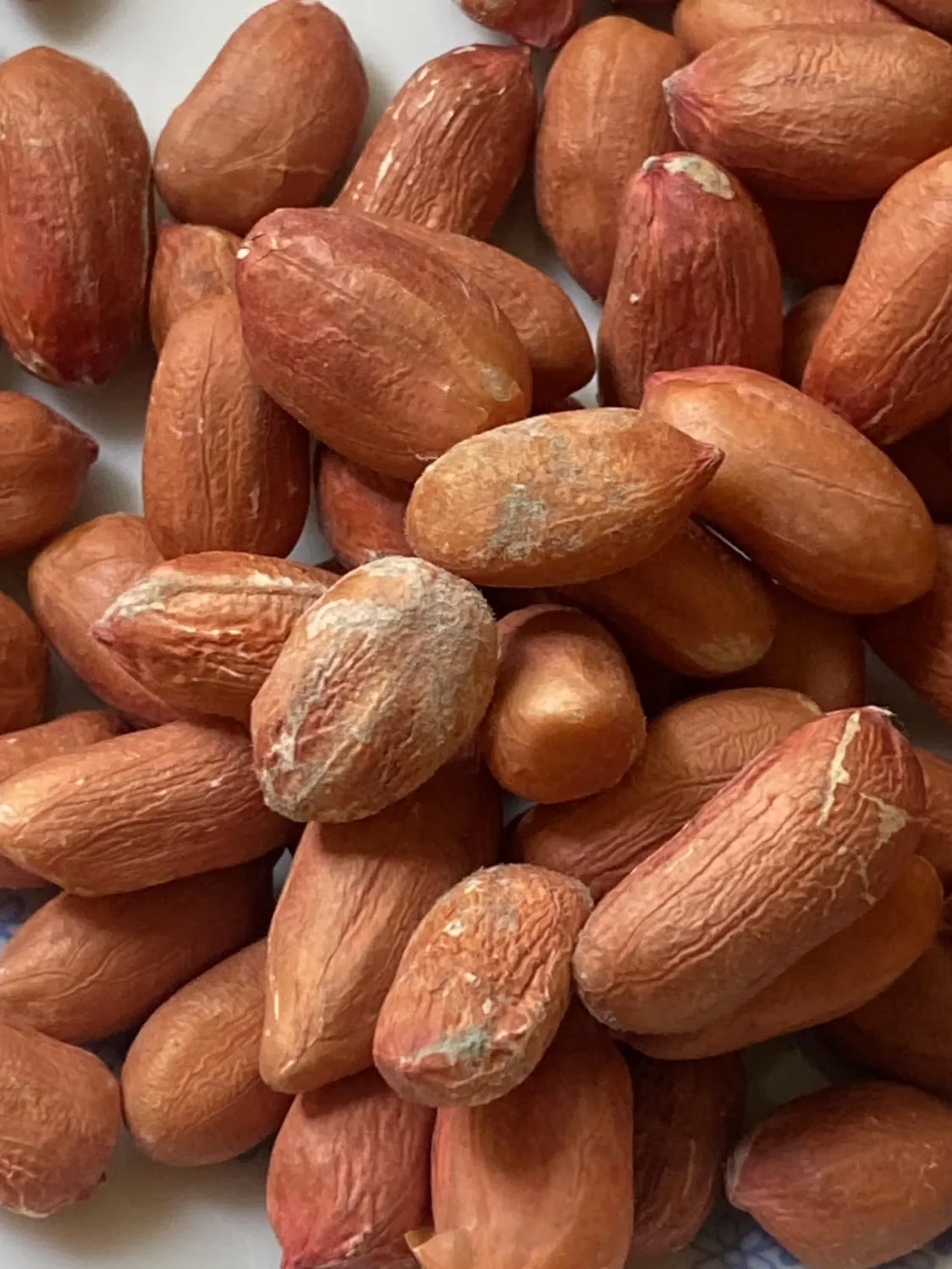 GymBeam Ungesalzene Erdnüsse Snack 1000g naturbelassen