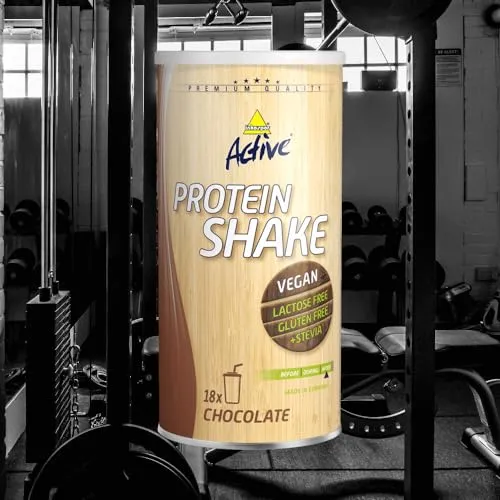 Inkospor Vegan Protein Shake Proteinpulver 450g Schoko laktosefrei