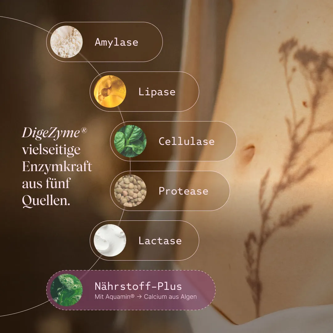 VETAIN GUTPro 360 Komplex Anti-Bloating Kapseln 60 Stück