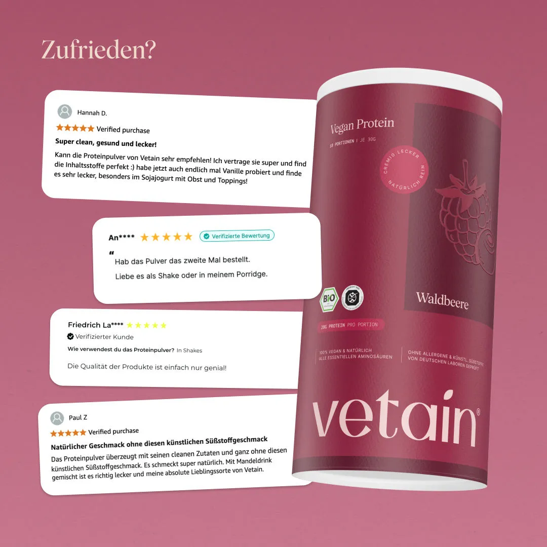 Vetain Vegan Protein Beere Proteinpulver 540g Bio