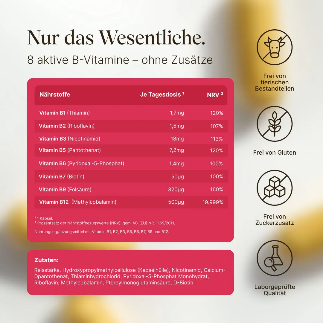 VETAIN Vital Bundle Magnesium Vitamin B Komplex Kapseln eBook