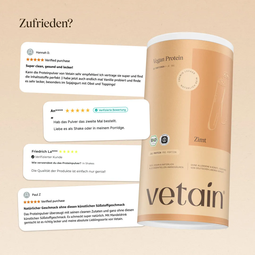 Vetain Vegan Protein Zimt BIO 540g natürlich